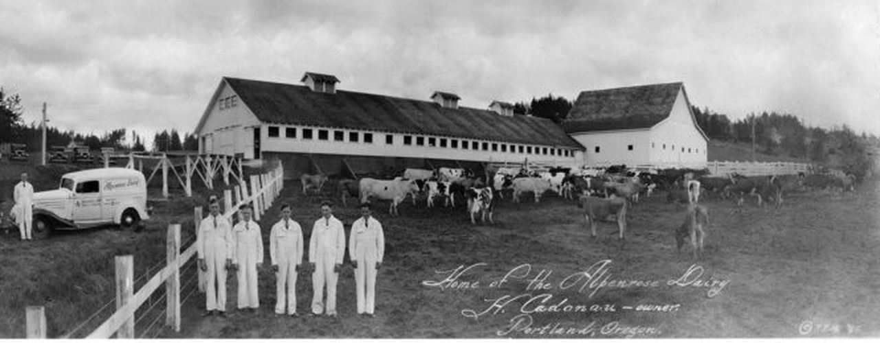 Home of the Alpenrose Dairy