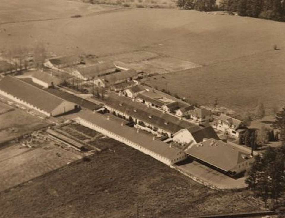 Alpenrose Dairy Farm