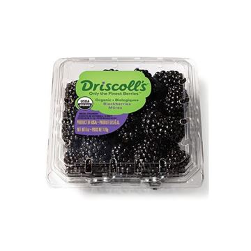 Image of Organic Blackberries