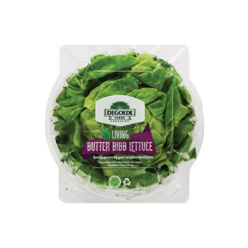 Image of DeGoede Living Butter Bibb Lettuce