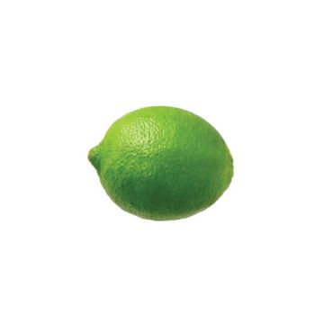 Image of Lime - 1 count