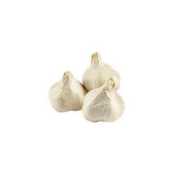 Image of Organic Garlic