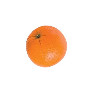 Image of Organic Navel Orange