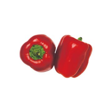 Image of Organic Red Bell Peppers