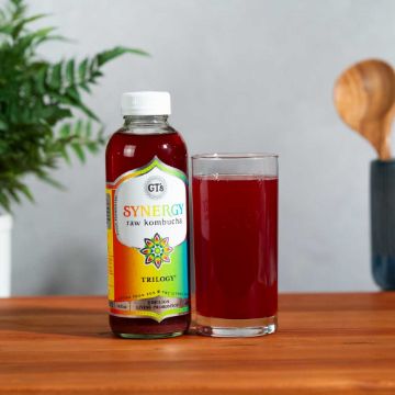 GT’s Trilogy Kombucha - 16 fl oz