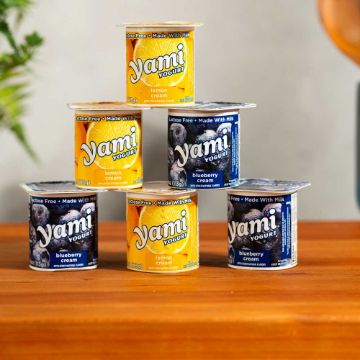 Yami Multi-Pack Blueberry/Lemon Yogurt - 6 pack of 4 oz