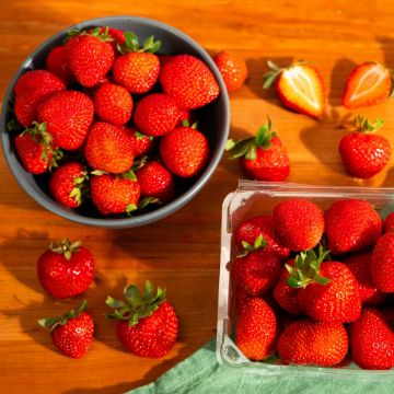 Organic Strawberries - 1 lb