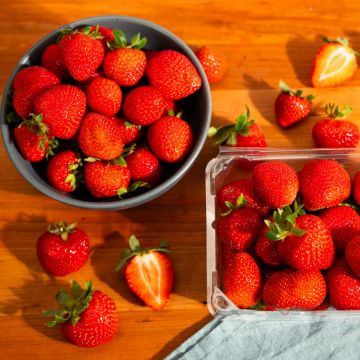 Strawberries - 1 lb