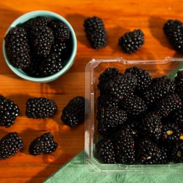 Organic Blackberries - 6 oz