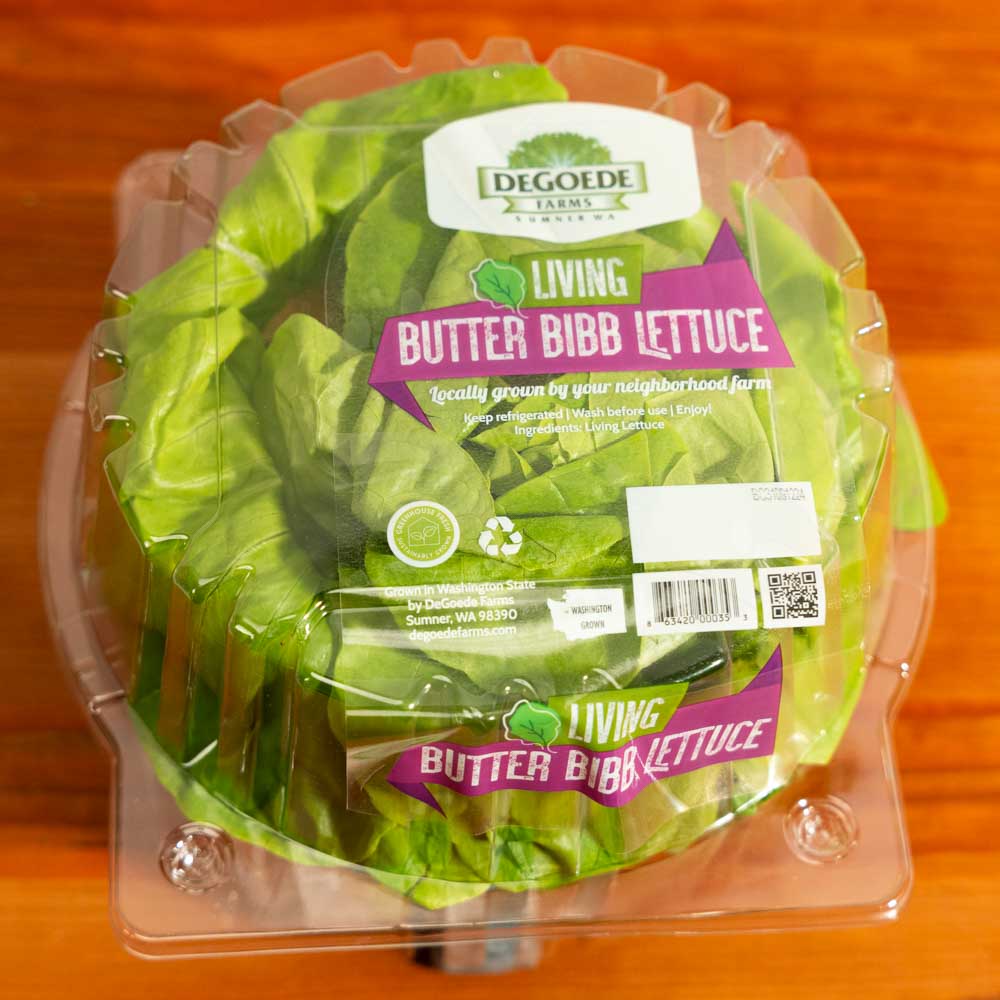 Image of Bibb Lettuce