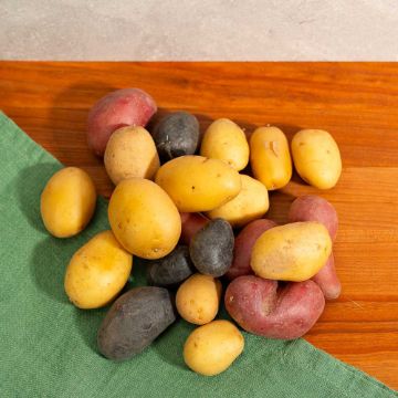 Organic Mixed Medley Potatoes - 1.5 lbs