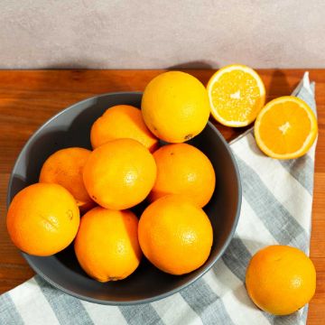 Navel Oranges - 3 lbs