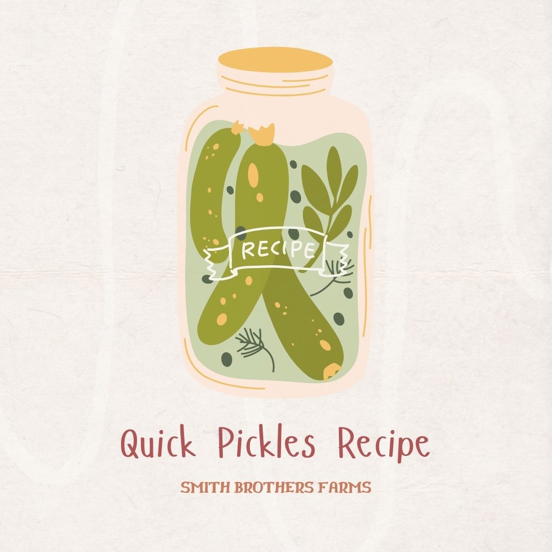 Quick Pickles Recipes